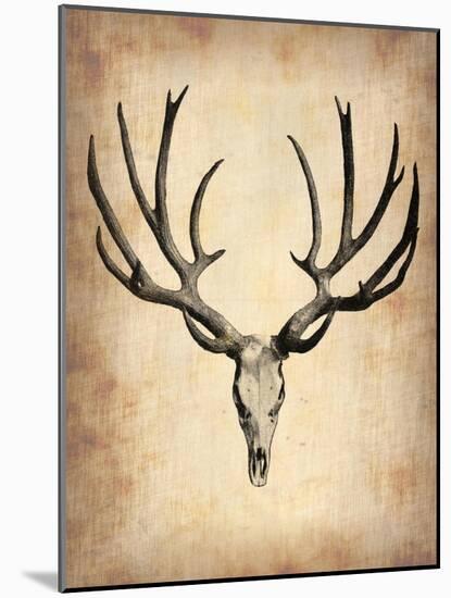 Vintage Deer Scull-NaxArt-Mounted Art Print