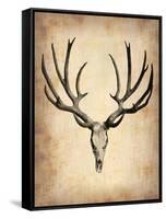 Vintage Deer Scull-NaxArt-Framed Stretched Canvas