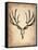 Vintage Deer Scull-NaxArt-Framed Stretched Canvas