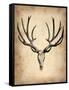 Vintage Deer Scull-NaxArt-Framed Stretched Canvas