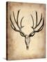 Vintage Deer Scull-NaxArt-Stretched Canvas