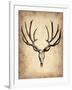 Vintage Deer Scull-NaxArt-Framed Art Print