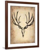 Vintage Deer Scull-NaxArt-Framed Art Print