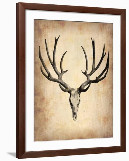 Vintage Deer Scull-NaxArt-Framed Art Print