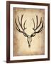 Vintage Deer Scull-NaxArt-Framed Art Print