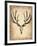 Vintage Deer Scull-NaxArt-Framed Art Print