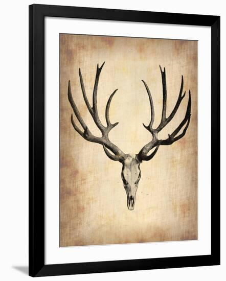 Vintage Deer Scull-NaxArt-Framed Art Print