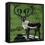 Vintage Deer-null-Framed Stretched Canvas