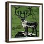 Vintage Deer-null-Framed Giclee Print