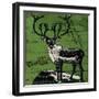 Vintage Deer-null-Framed Giclee Print