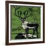 Vintage Deer-null-Framed Giclee Print