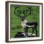 Vintage Deer-null-Framed Giclee Print