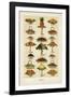 Vintage Dessert-The Vintage Collection-Framed Giclee Print