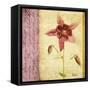 Vintage Diary Square I-Patricia Pinto-Framed Stretched Canvas