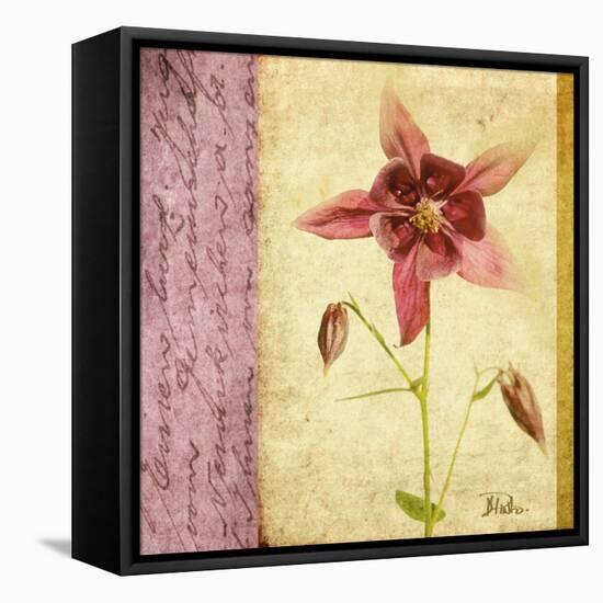 Vintage Diary Square I-Patricia Pinto-Framed Stretched Canvas