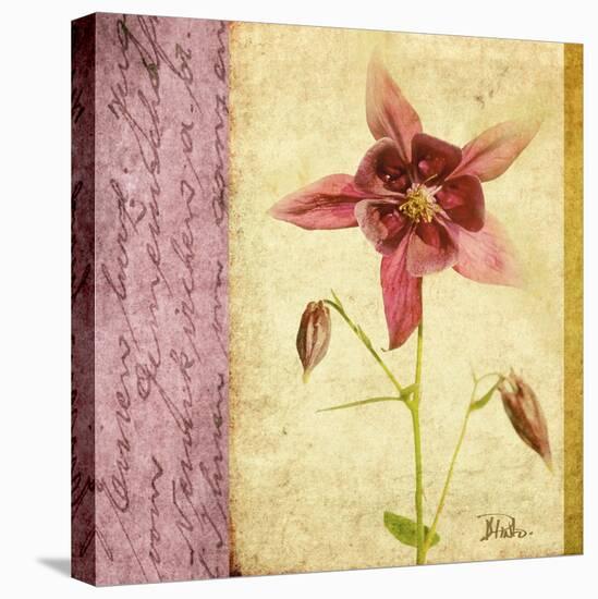 Vintage Diary Square I-Patricia Pinto-Stretched Canvas