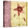 Vintage Diary Square I-Patricia Pinto-Stretched Canvas