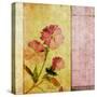 Vintage Diary Square II-Patricia Pinto-Stretched Canvas