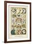 Vintage Dinner China-The Vintage Collection-Framed Giclee Print