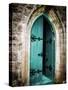 Vintage Door-Sheldon Lewis-Stretched Canvas