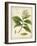 Vintage East Indian Plants IV-Maria Mendez-Framed Art Print