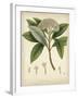 Vintage East Indian Plants V-Maria Mendez-Framed Giclee Print