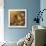 Vintage Elements II-Linda Thompson-Mounted Giclee Print displayed on a wall