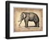 Vintage Elephant-NaxArt-Framed Art Print