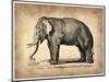 Vintage Elephant-NaxArt-Mounted Art Print