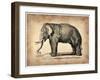 Vintage Elephant-NaxArt-Framed Art Print