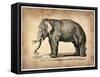 Vintage Elephant-NaxArt-Framed Stretched Canvas
