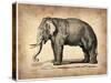 Vintage Elephant-NaxArt-Stretched Canvas