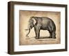 Vintage Elephant-NaxArt-Framed Art Print