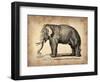 Vintage Elephant-NaxArt-Framed Art Print