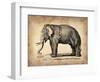 Vintage Elephant-NaxArt-Framed Art Print