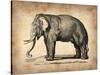 Vintage Elephant-NaxArt-Stretched Canvas