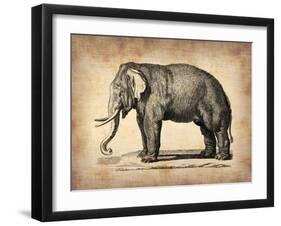 Vintage Elephant-NaxArt-Framed Art Print