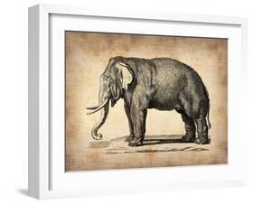 Vintage Elephant-NaxArt-Framed Art Print