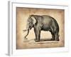 Vintage Elephant-NaxArt-Framed Art Print