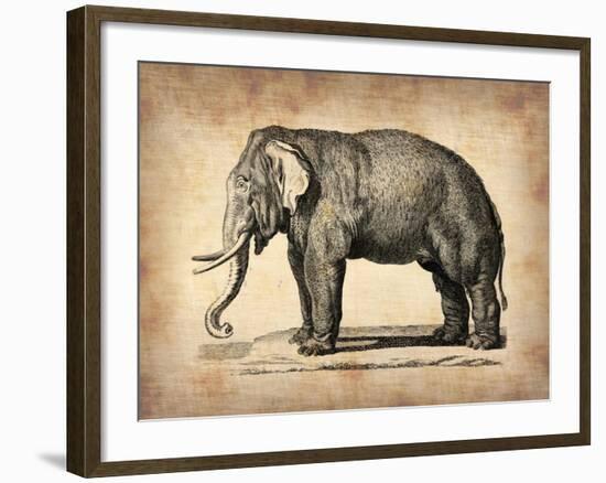 Vintage Elephant-NaxArt-Framed Art Print