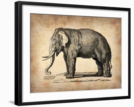 Vintage Elephant-NaxArt-Framed Art Print