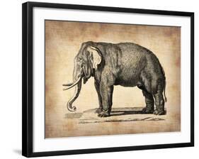 Vintage Elephant-NaxArt-Framed Art Print