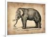 Vintage Elephant-NaxArt-Framed Art Print