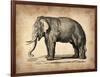 Vintage Elephant-NaxArt-Framed Art Print