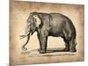 Vintage Elephant-NaxArt-Mounted Art Print