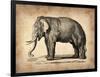 Vintage Elephant-NaxArt-Framed Art Print