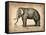 Vintage Elephant-NaxArt-Framed Stretched Canvas