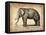 Vintage Elephant-NaxArt-Framed Stretched Canvas