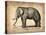 Vintage Elephant-NaxArt-Stretched Canvas