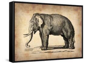 Vintage Elephant-NaxArt-Framed Stretched Canvas